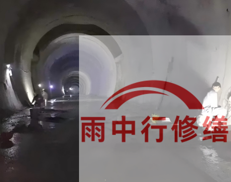 临汾长安镇隧道堵漏工程案例